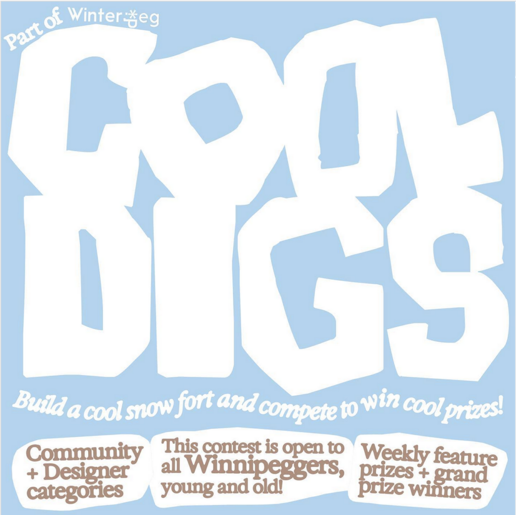 cool digs design contest poster