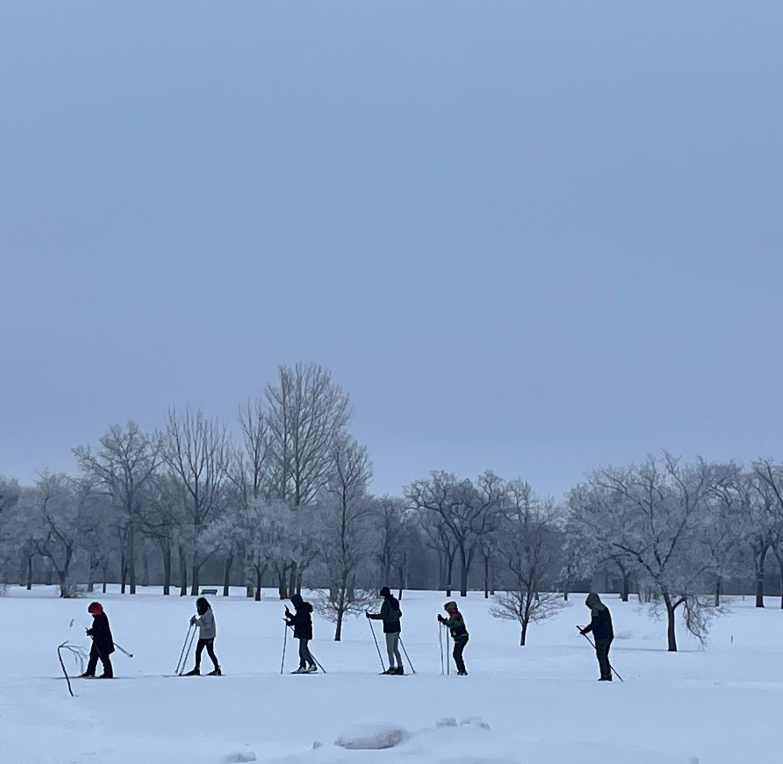 people skiing with rime frost