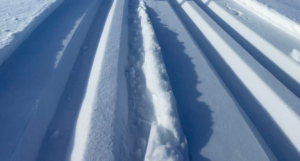 ski tracks in fresh snow
