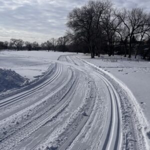 A curving ski trail through snow in a field on a cloudy day